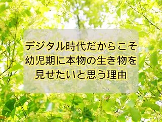 デジタル時代だからこそ、幼児期に本物の生…