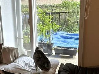 お隣りさんのお庭工事