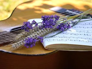 エゴなのか？？ハイヤーセルフなのか？？体…