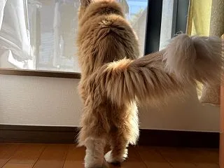 秋晴れ続きです！