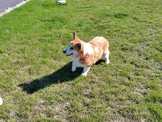 今日もバタバタでした・・・