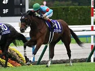 【秋華賞 2026】データ展望・出走予定…