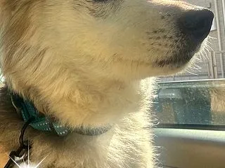 秋のとねり～♪v(￣Д￣)v ｲｴｲ