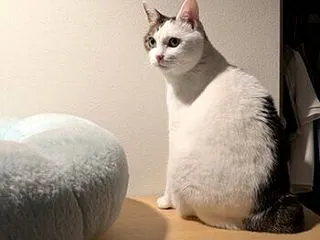 暗い部屋で
