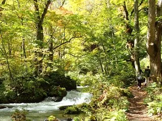 奥入瀬渓流