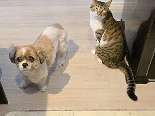 いっしょに、オスワリ。