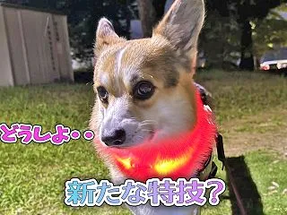 緊張しちゃった