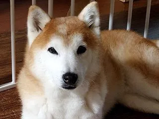 今朝は冷え込んだ・・・