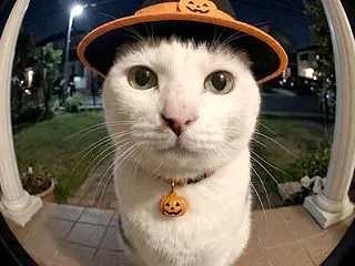 Geminiと一緒にハロウィン気分