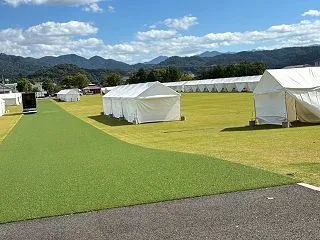 朝の楽しみ