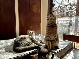 姿勢が良い