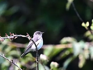 待ち人来たる