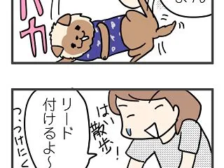 パカッと！こぉちゃん