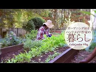秋冬野菜の間引き菜