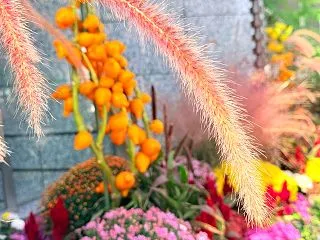 否定文を使わないように意識している꒰ ૢ…