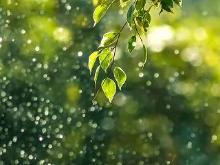 インドで出会った『自然の科学』
