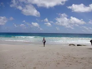 アフリカにいます。 | I am in …