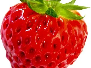 朝から楽天マラソン(⌒∇⌒)購入したもの