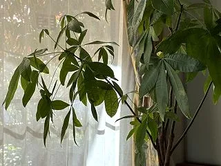 まったり2日間