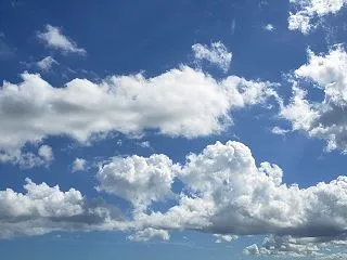 ？
