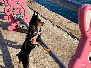 ありがとう と言われた日