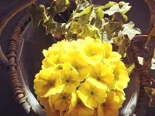しつこさと執念と拘り過ぎ。