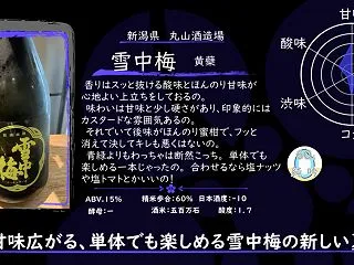【木曜日の季節物】雪中梅 黄蘗【FUKA…