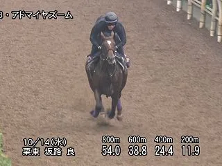 【富士ステークス2026】追い切り・コメ…