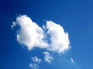 猫じゃれ雲／小型加湿器・空気清浄機加湿稼…