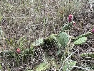 クルーズセミナーとボートショー