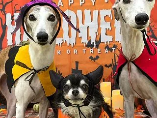 ハロウィンなドイツ村