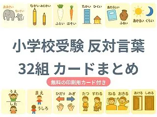 【反対言葉32組・無料カード付】小学校受…