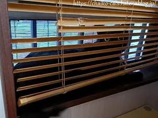 窓辺のリフォーム
