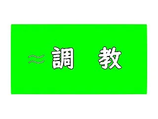 【秋華賞2026】追い切り｜調教・好調馬…