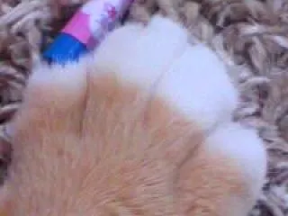 えいやー。