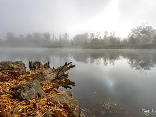 霧の朝の川辺