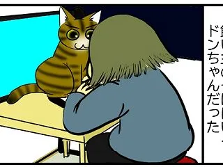 【猫との暮らし】飼い主しか勝たん猫