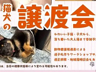 保護犬・保護猫譲渡会・チャリーンワークシ…