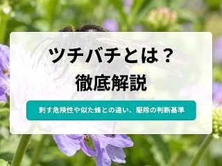 ツチバチは危険？刺す？巣を作るのかと見分…