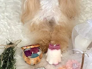 素敵なキャンドルいただきました♡