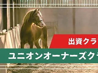 アルティザナ（牡２歳）が初入厩