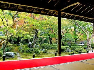 秋の山口・京都
