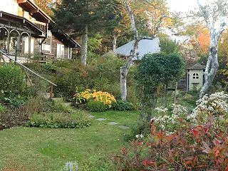 Leaves change their …