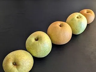 【パワーストーン9】人生を楽しむ色☆イエ…