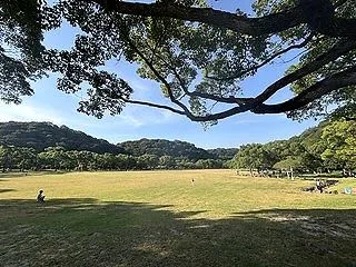 [九州2026] (57) 山田綠地、小…