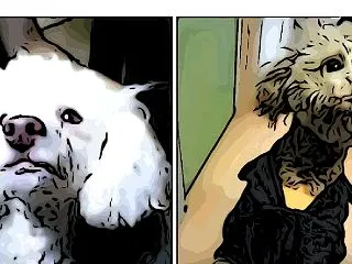 老いとタイマン中。