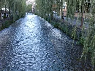 プチ遠足 東山方面