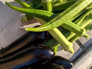 父の陶芸作品処分