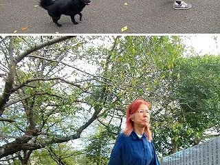 散歩嫌いな彼