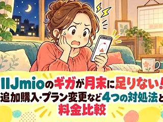 IIJmioのギガが月末に足りない！｜追…